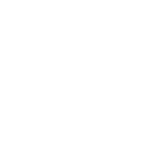 Audit & Reporting Support