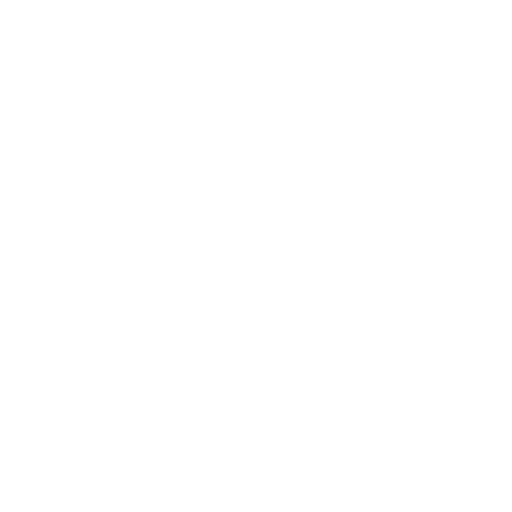 Secure Remote & Mobile Access