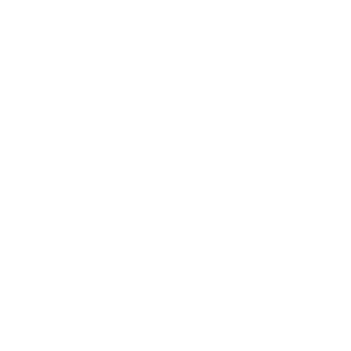 Encrypted & Secure Storage