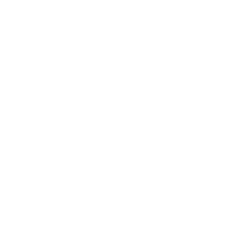 Scale